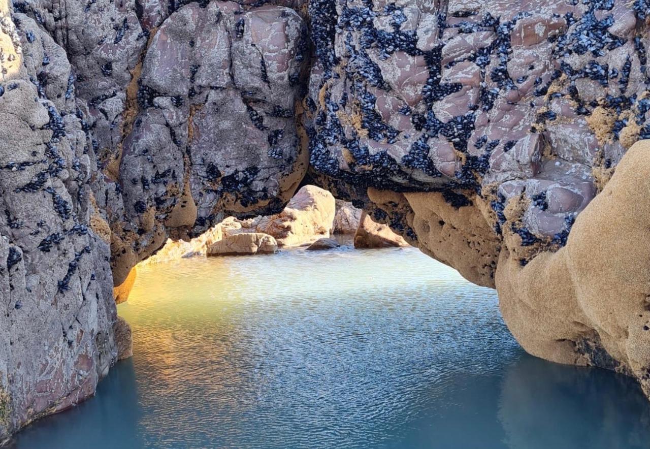 Rockpool - Bude Ngoại thất bức ảnh